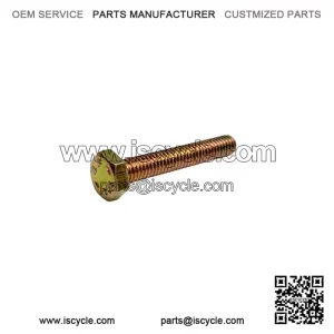 Rear Brake Mounting Screw for Piaggio Vespa PX, T5 & PK.