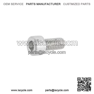 Master Cylinder Mounting Bolt for Piaggio Vespa PX, T5 & LML.