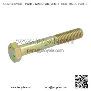 Screw M10x65mm (015594) for Piaggio X9 Evolution, Vespa PX 0 Classic & MP3.