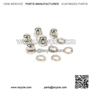 Cap Nut Set for Rim (Stainless Steel M8 SW=13mm) ?C fits Vespa Type PX.