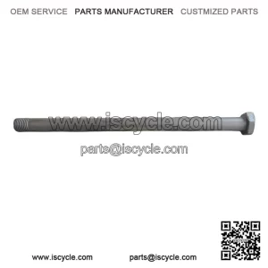 SWING ARM SCREW ?C For Vespa PX 30 Years 125 (2007?C2008)