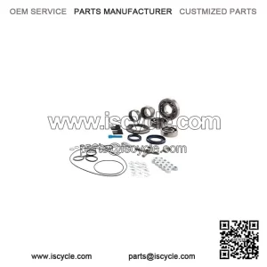 ENGINE REVISION KIT ?C For Vespa 200 Rally 2??, P200E, PX200E