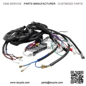 Complete Electrical Wiring System for VESPA PX 125/150/200 (2001-2007).