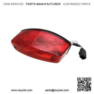 Tail Light Ass Y 710000760, OEM