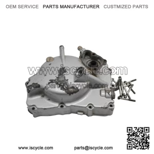 Stator Cover for 06 Can-Am DS250 2x4