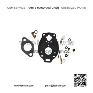 Carburetor kit W/ TSX13, TSX28 & MORE Carbs FOR FORD TRACTOR