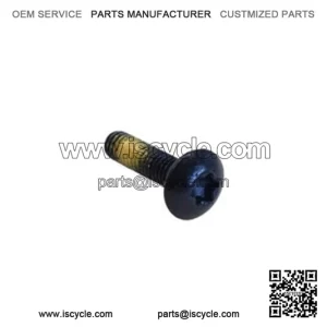Truss Torx Screw 250000242