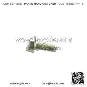 Taptite Screw M6 X 16 420240580 Ski-Doo