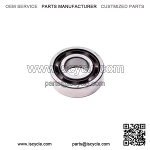 Ball Bearing 420232855